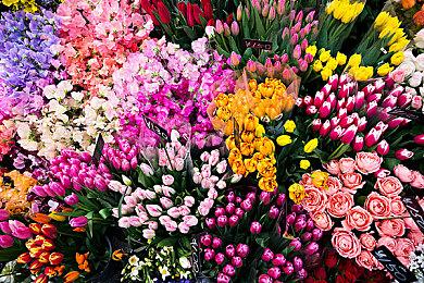 本周Fami评分：《夏天了！20世纪的暑假》33分